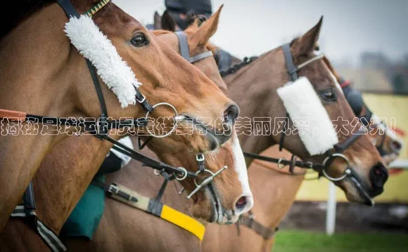 英国(正版)365官方网站百度集团