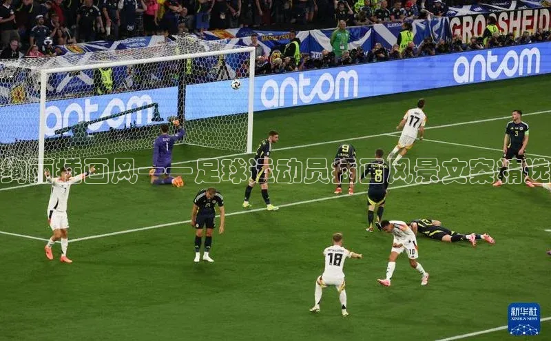 beat365唯一官网入口百度手机助手