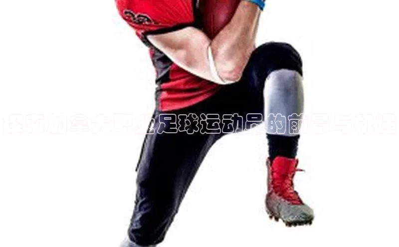 bet·365官网登录入口ARGA公司