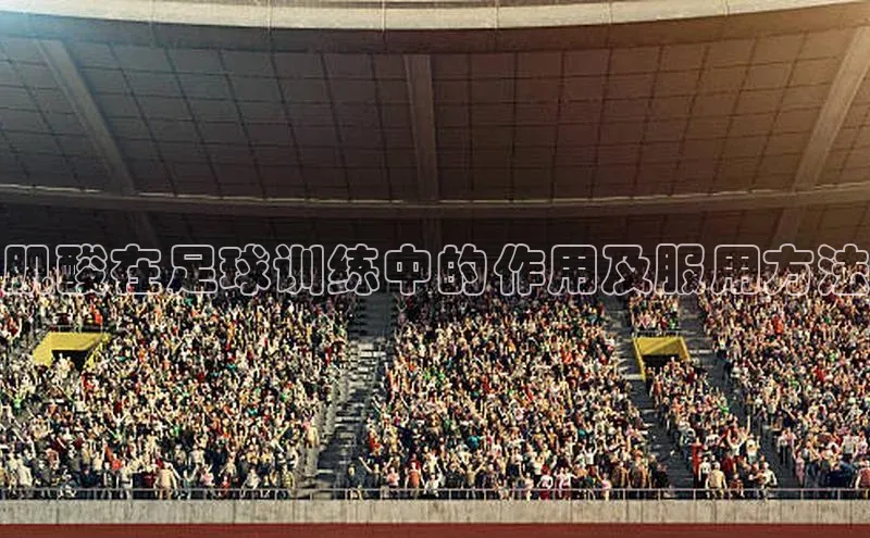 bet·365官网登录入口ARGA公司