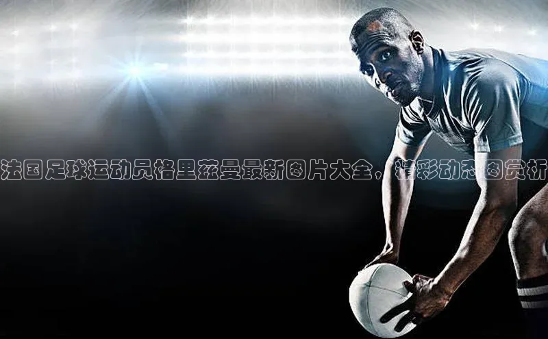 beat365·体育官网光魔科技