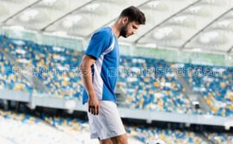 beat365官网 网页版梯哥哥科技