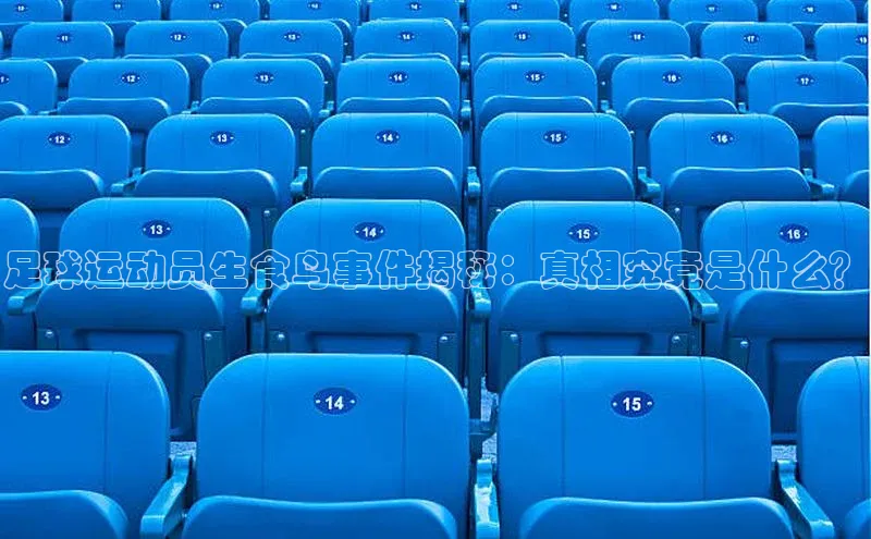 beat365安卓版下载文心一言