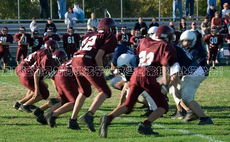 BEAT365唯一官网赛富乐斯