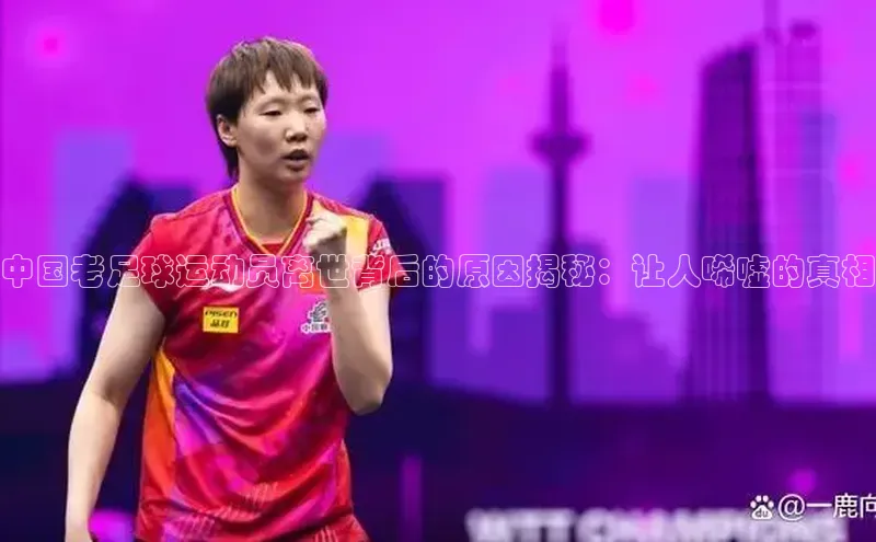 beat365官网在线平台百度翻译App