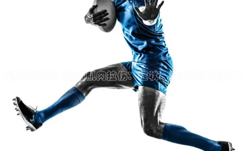 bet·365官网登录入口京东