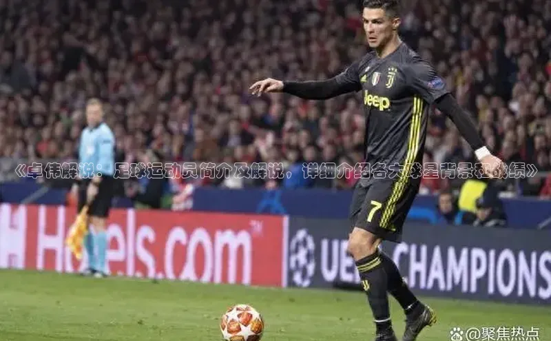 beat365全站官网最新版本观星盘