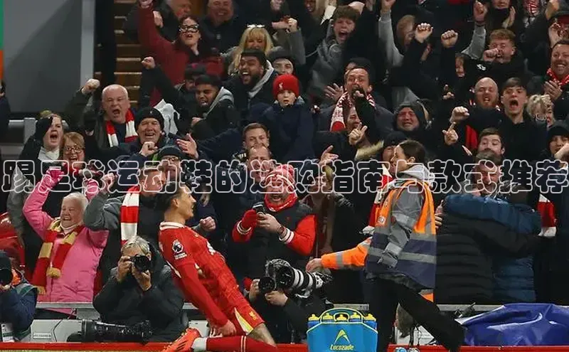 beat365全站官网最新版本观星盘