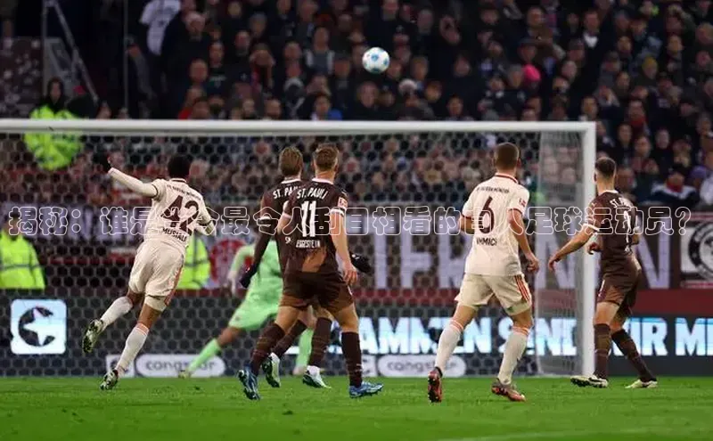 beat365官网 网页版梯哥哥科技