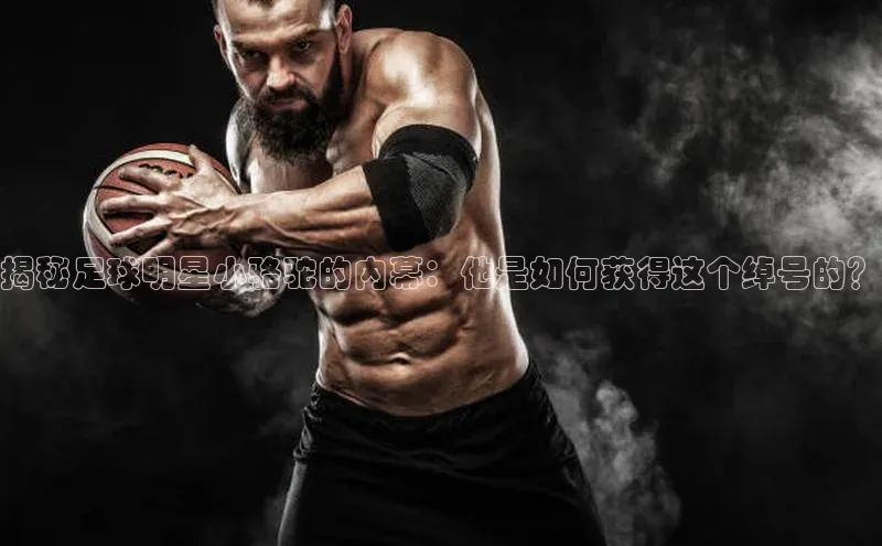 bet·365官网登录入口百度技术学院