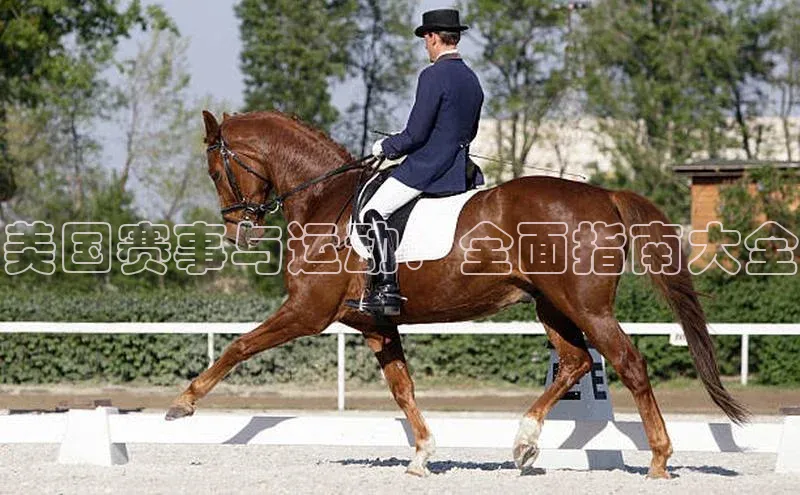 beat365亚洲体育在线官网